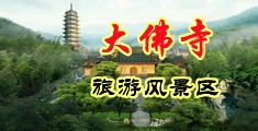 免费看成人草壁视频免费看中国浙江-新昌大佛寺旅游风景区